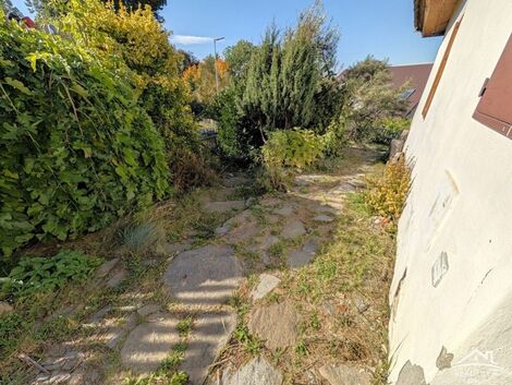 foto02_11565794_146za4.jpg