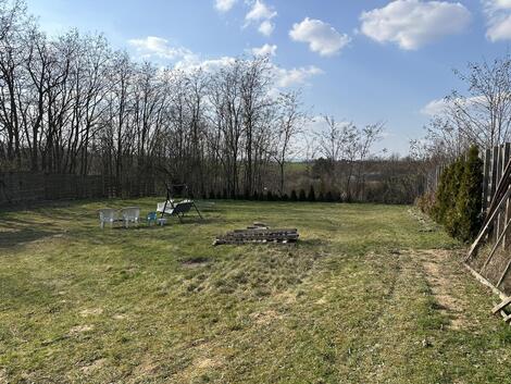 foto02_11475622_1cz17o.jpg