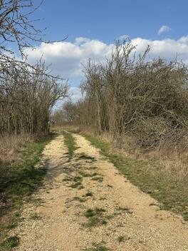 foto02_11475622_d7rxk.jpg
