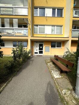 foto02_11486167_1iuoys.jpg