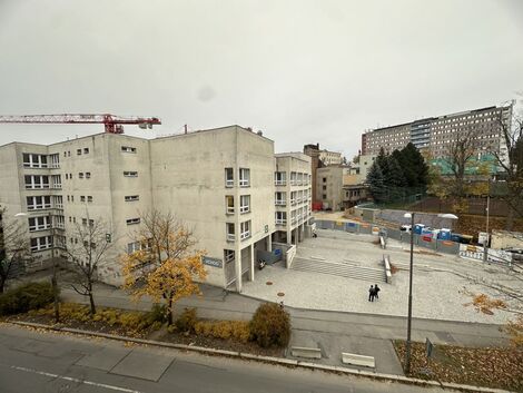 foto02_11506894_zeono.jpg
