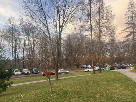 foto02_11501327_drnd4.jpg