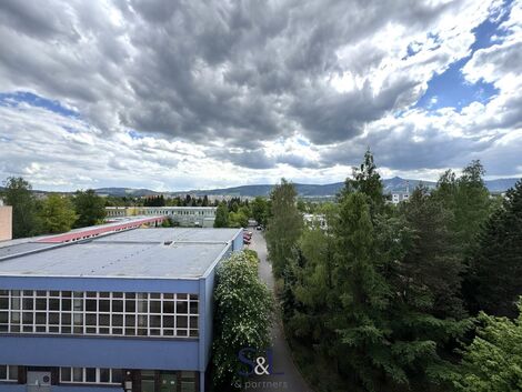 foto02_11500682_1hvqsc.jpg