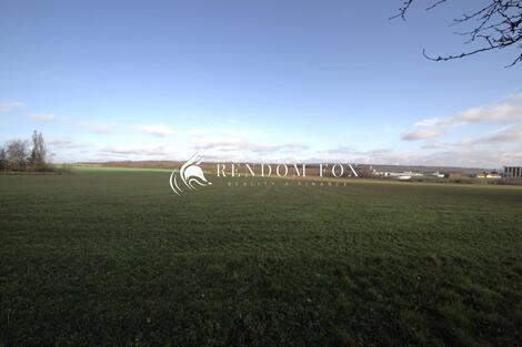 foto02_11492795_18pp5g.jpg