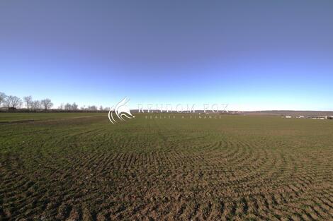 foto02_11492796_7ewes.jpg