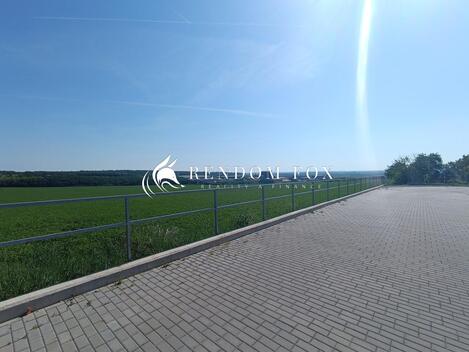 foto02_11501334_1da4d4.jpg
