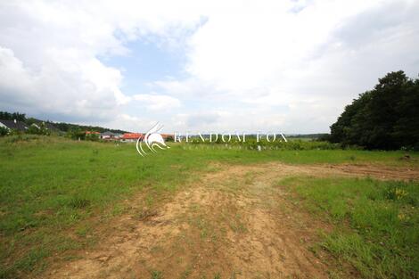 foto02_11501338_jvxuc.jpg