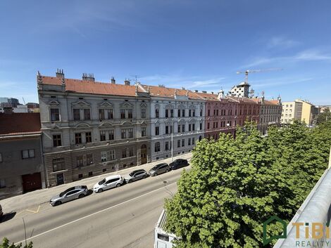 foto02_11484089_cpaks.jpg