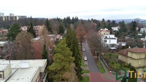 foto02_11485544_pnkx4.jpg