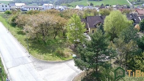 foto02_11488633_qd9j8.jpg