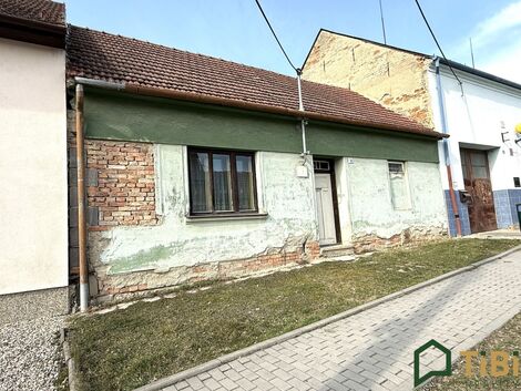 foto02_11536930_11swz8.jpg