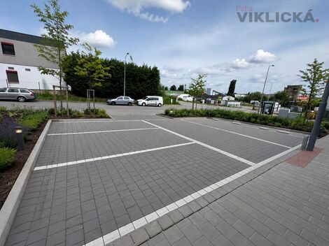 foto02_11500683_1klpn0.jpg