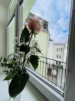foto02_11456482_w9w5w.jpg