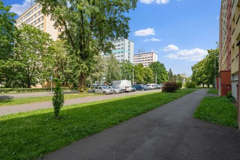 foto02_11508146_xzhws.jpg