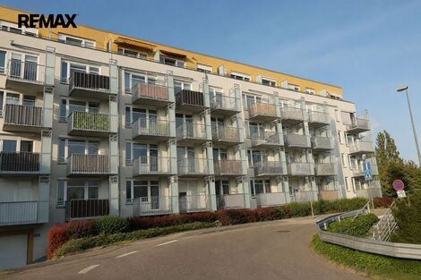 foto02_11508148_gpxwo.jpg
