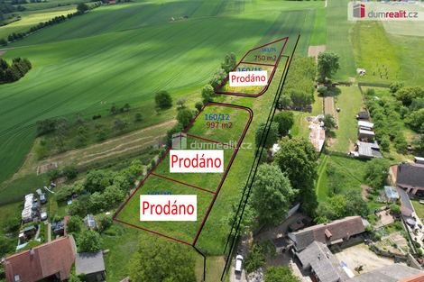 foto09_11313669_16114.jpg