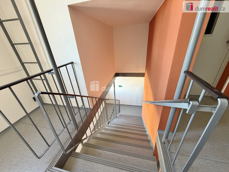 foto09_11478087_61921.jpg