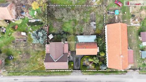 foto09_11483285_19424.jpg