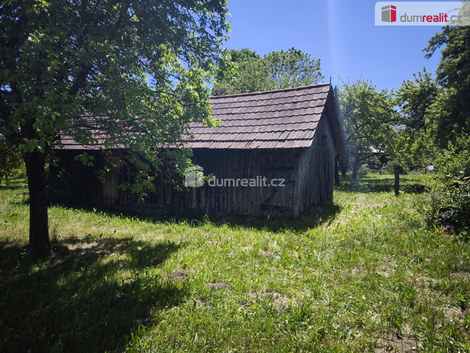 foto09_11501801_53321.jpg