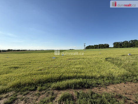 foto09_11503917_72606.jpg