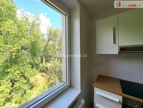 foto09_11504504_53447.jpg