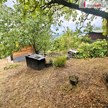 foto09_11527259_78900.jpg