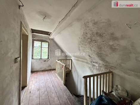 foto09_11550001_24719.jpg