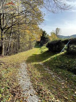foto02_11319635_k8v4c.jpg