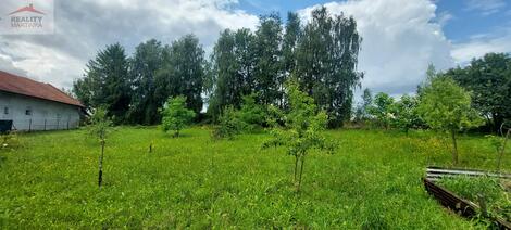 foto02_11371956_t0cu4.jpg