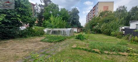 foto02_11372990_niezk.jpg