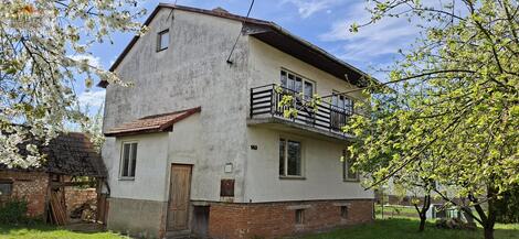 foto02_11486643_12ku84.jpg