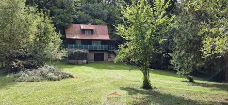 foto02_11498904_p6j6o.jpg