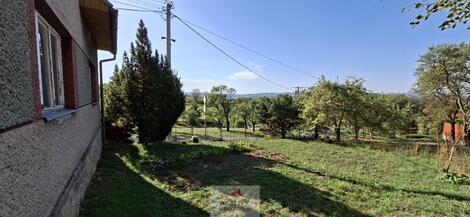 foto02_11550178_del5c.jpg