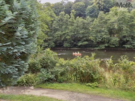 foto02_11363764_fl4go.jpg