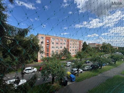 foto02_11364311_ncbgs.jpg