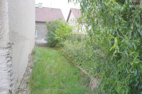 foto02_11365421_1lzhjc.jpg