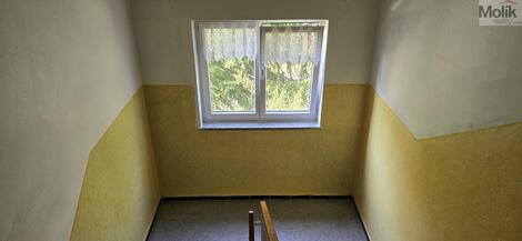 foto02_11365422_iz9x0.jpg