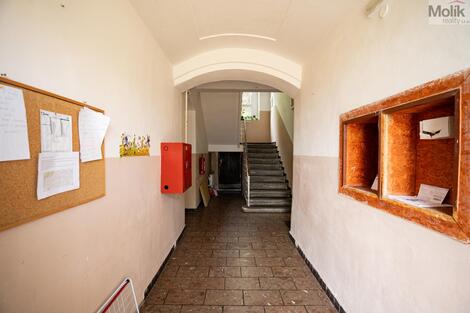 foto02_11370961_5rdtg.jpg