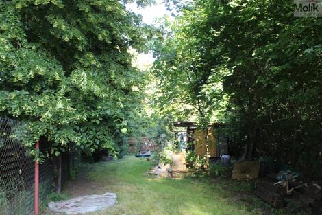 foto02_11371471_13dk6c.jpg