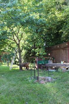 foto02_11371471_ip5c0.jpg