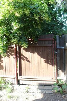 foto02_11371471_jiw8s.jpg