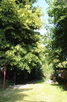 foto02_11371471_rey64.jpg