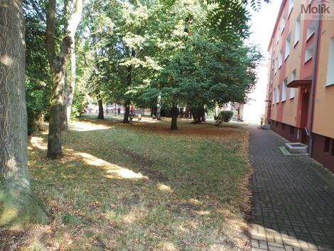foto02_11371472_obpm8.jpg