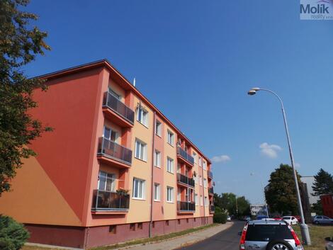 foto02_11371472_xzrxw.jpg