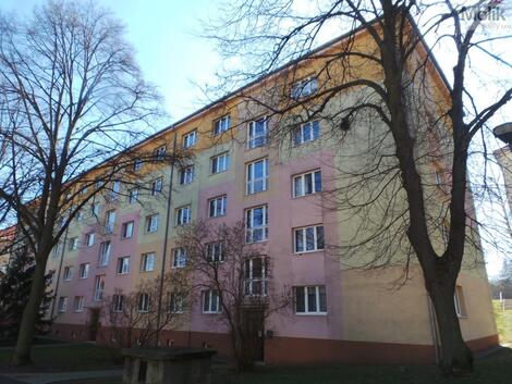 foto02_11372992_1fe898.jpg