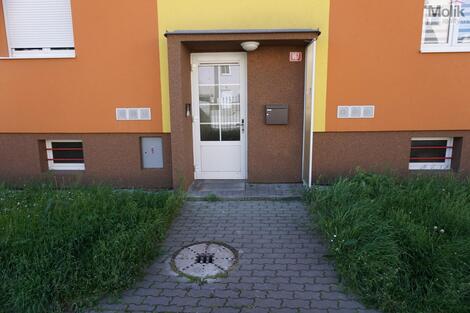 foto02_11380876_mb6co.jpg