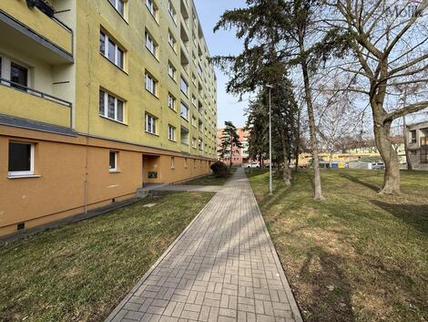 foto02_11445191_7wfl0.jpg