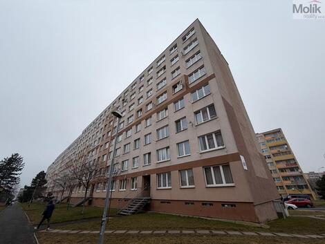 foto02_11457282_1k1ua8.jpg