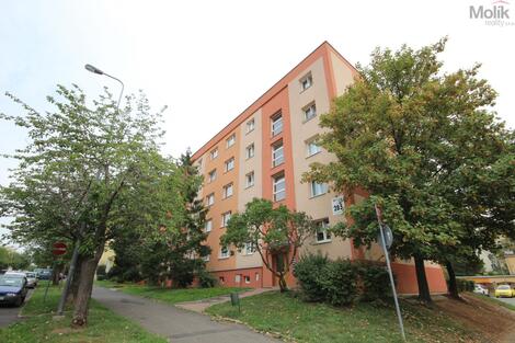 foto02_11457285_o1toc.jpg