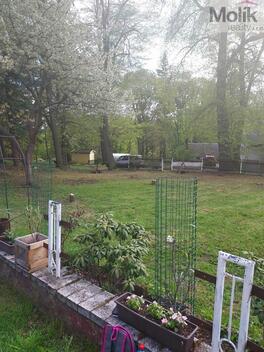 foto02_11460325_16h4m0.jpg